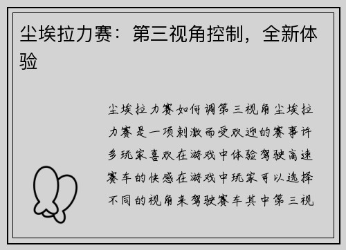 尘埃拉力赛：第三视角控制，全新体验